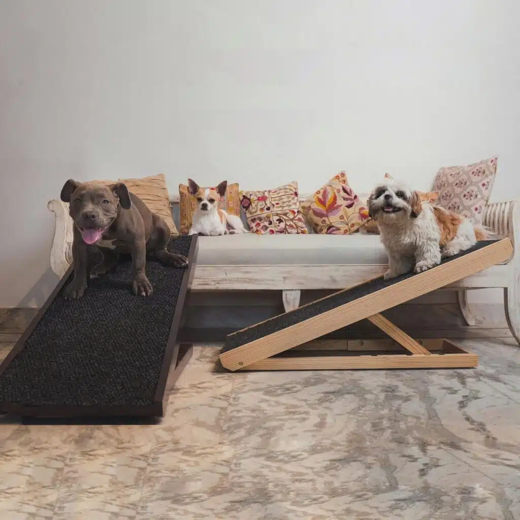 2 dog ramps and 3 dogs mob