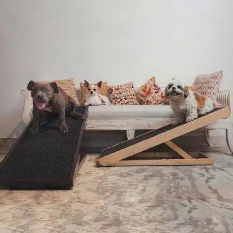 2 dog ramps and 3 dogs mob