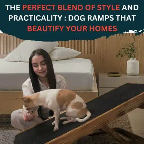 petprotect.in product Image of dog ramp- perfect blend of style