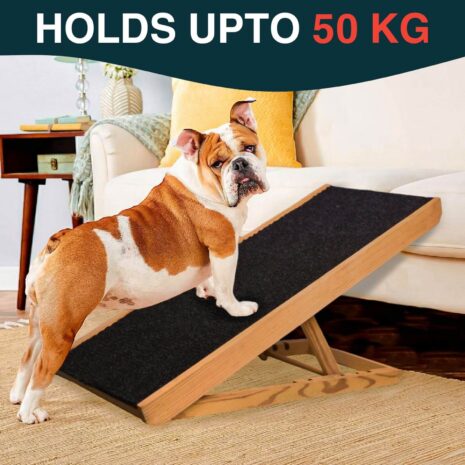 Dog Ramp: Holds upto 50 kgs